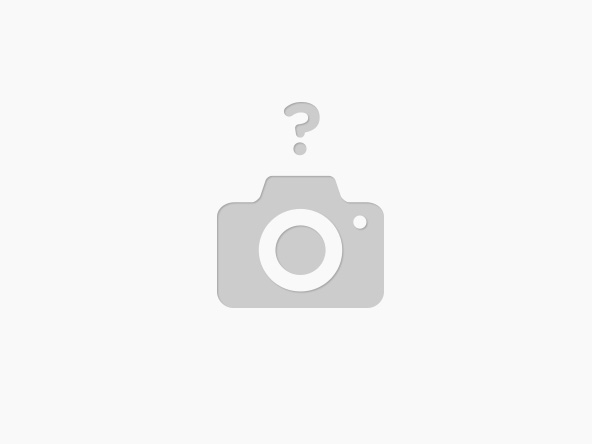Llave lavatorio 25 Cm (10 Pulg) Valforte WR0077